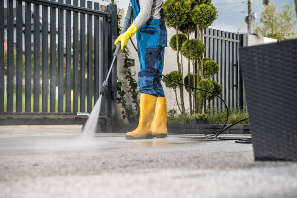 Best Dumpster Area Cleaning  in Country Club Hls, IL